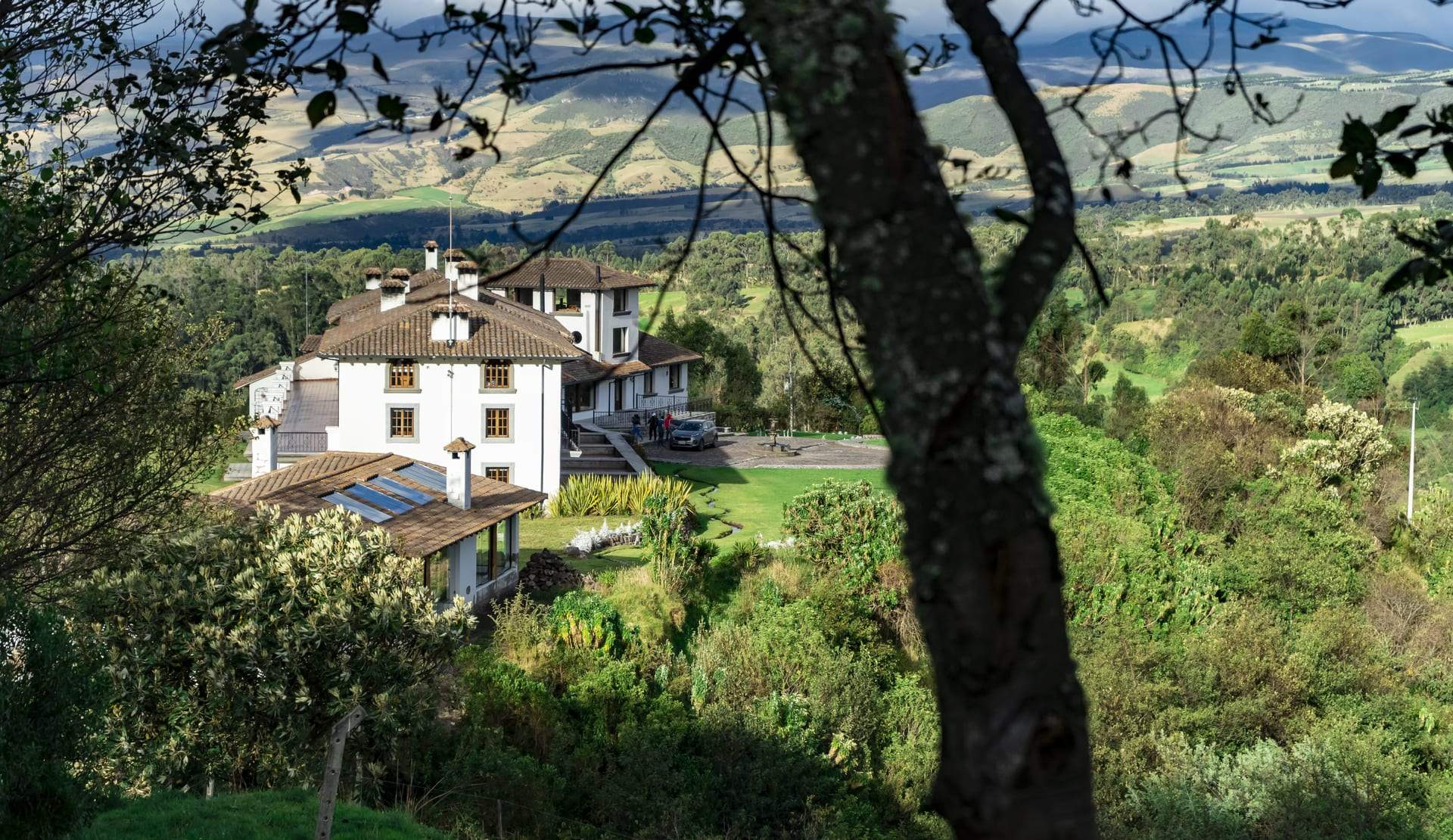 Sendero entre la vegetación andina de CotopaxiPungo